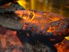 glowing log detail