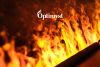 optimyst